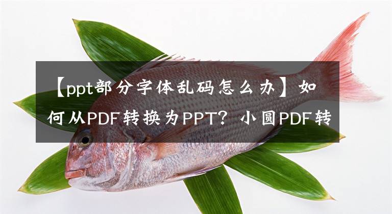 【ppt部分字体乱码怎么办】如何从PDF转换为PPT?小圆PDF转换器高效转换排版保护