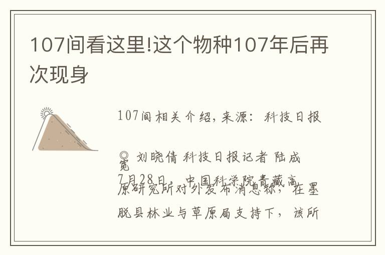 107间看这里!这个物种107年后再次现身