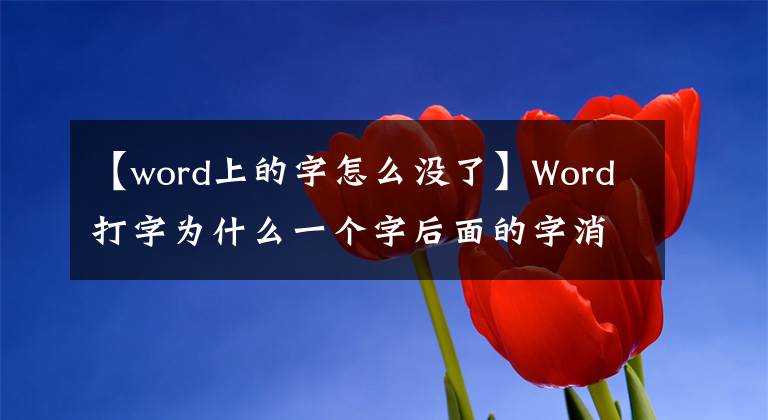 【word上的字怎么没了】Word打字为什么一个字后面的字消失了?