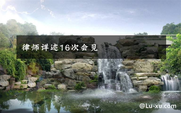 律师详述16次会见