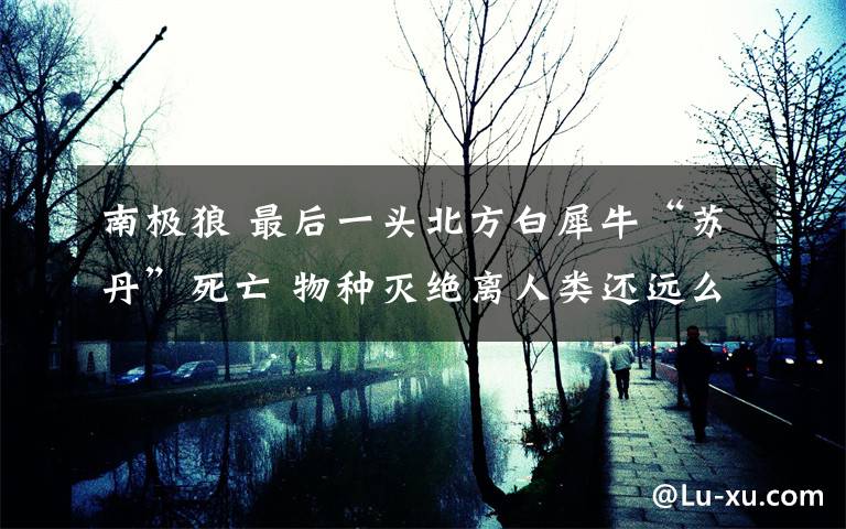 南极狼 最后一头北方白犀牛“苏丹”死亡 物种灭绝离人类还远么?