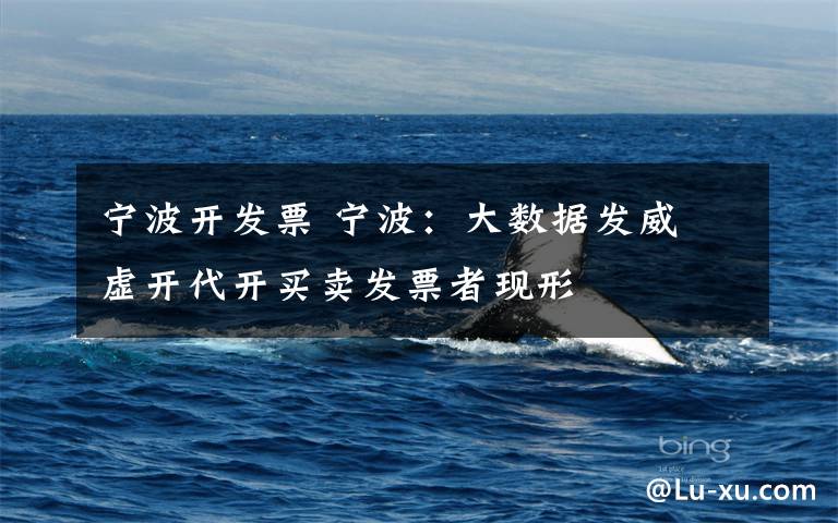 宁波开发票 宁波:大数据发威 虚开代开买卖发票者现形