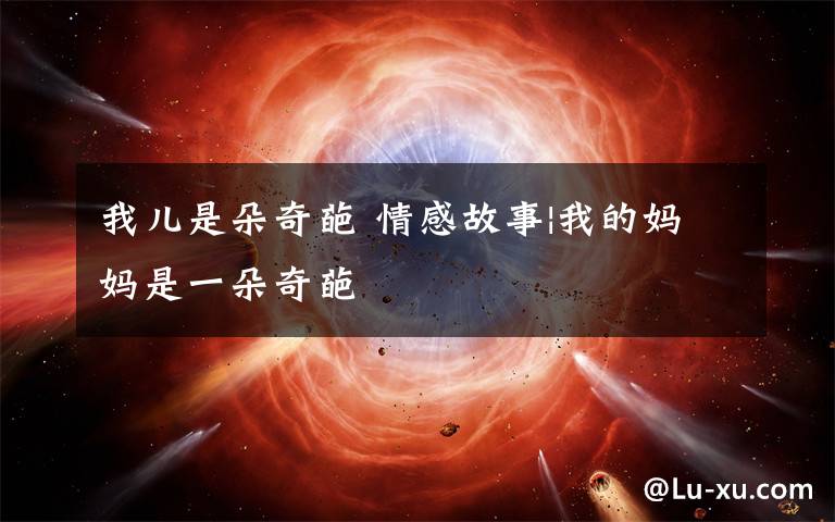 我儿是朵奇葩 情感故事|我的妈妈是一朵奇葩
