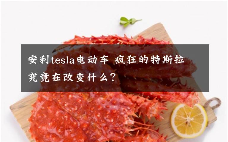 安利tesla电动车 疯狂的特斯拉究竟在改变什么?