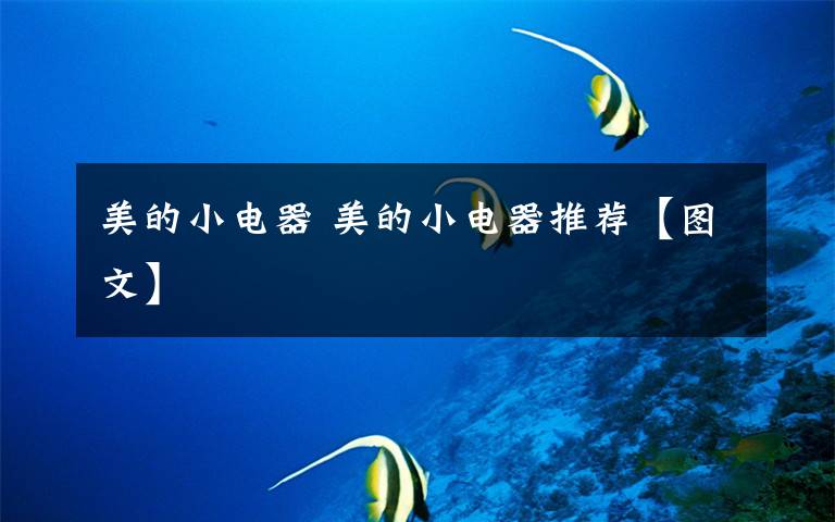 美的小电器 美的小电器推荐【图文】