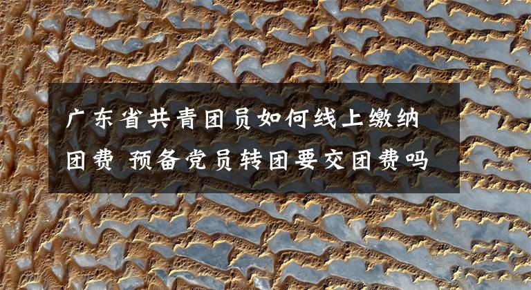 广东省共青团员如何线上缴纳团费 预备党员转团要交团费吗