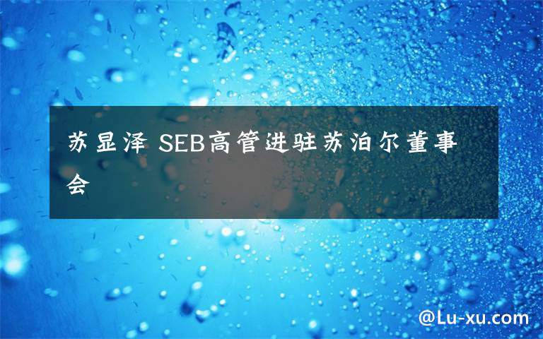 苏显泽 SEB高管进驻苏泊尔董事会