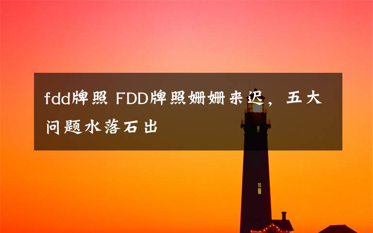 fdd牌照 FDD牌照姗姗来迟,五大问题水落石出