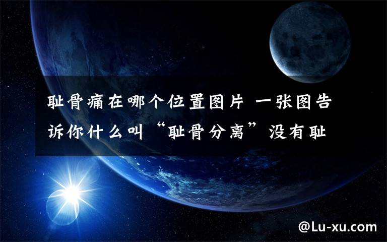 耻骨痛在哪个位置图片 一张图告诉你什么叫“耻骨分离”没有耻骨痛的孕妈,太幸运了!