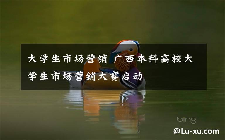 大学生市场营销 广西本科高校大学生市场营销大赛启动
