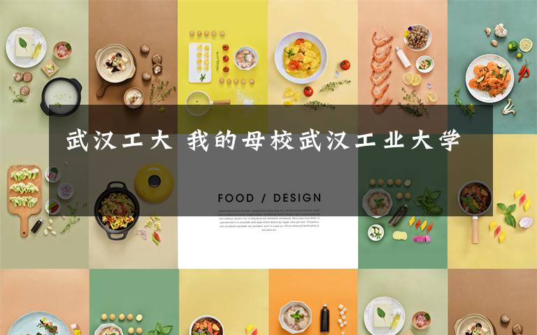武汉工大 我的母校武汉工业大学