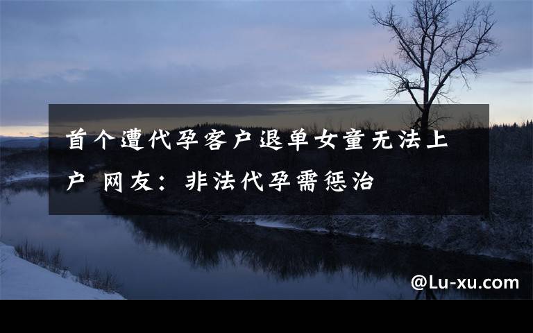首个遭代孕客户退单女童无法上户 网友:非法代孕需惩治