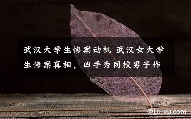 武汉大学生惨案动机 武汉女大学生惨案真相，凶手为同校男子作案动机成谜