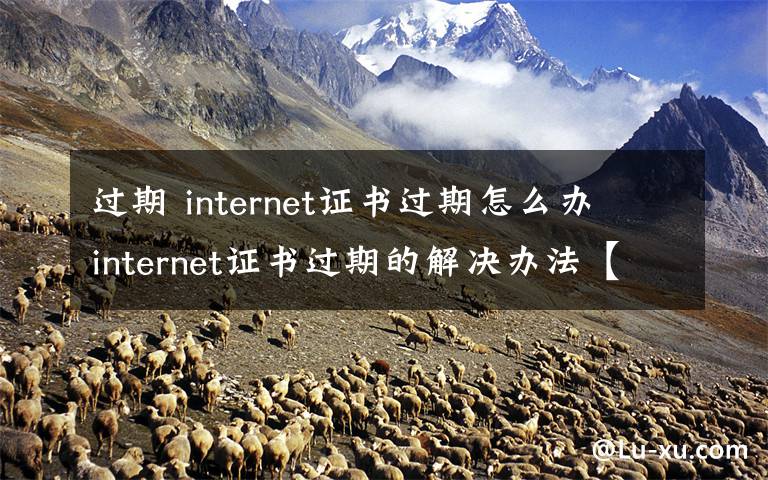过期 internet证书过期怎么办 internet证书过期的解决办法【图文】