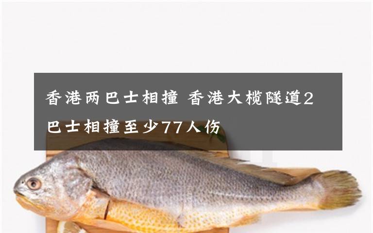 香港两巴士相撞 香港大榄隧道2巴士相撞至少77人伤