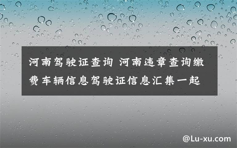 河南驾驶证查询 河南违章查询缴费车辆信息驾驶证信息汇集一起