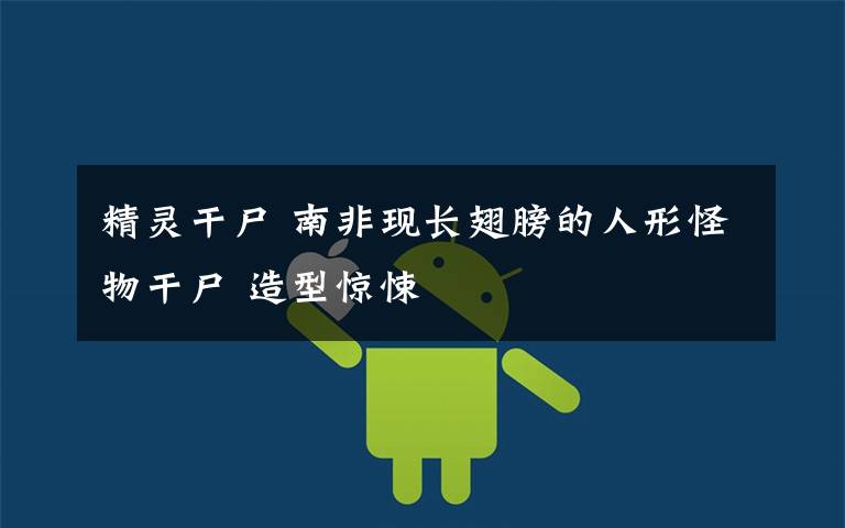 精灵干尸 南非现长翅膀的人形怪物干尸 造型惊悚