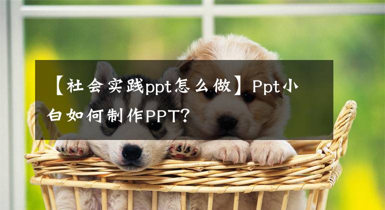 【社会实践ppt怎么做】Ppt小白如何制作PPT?