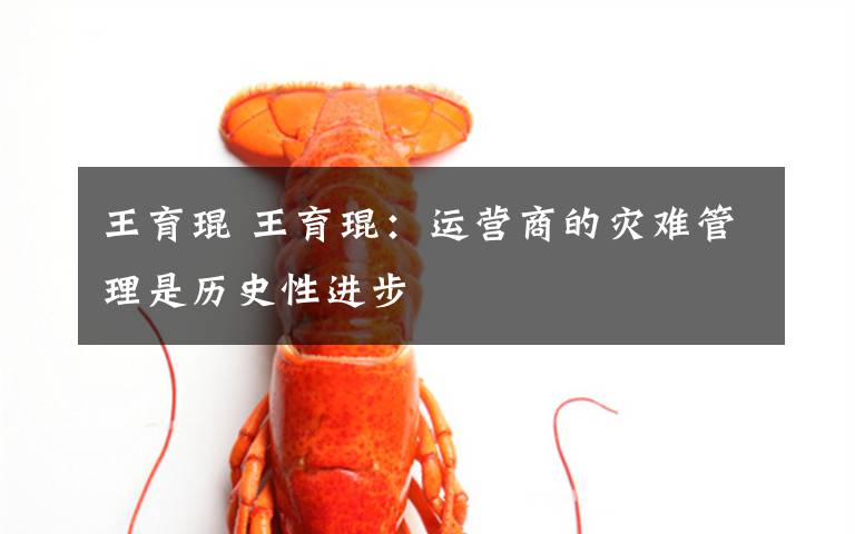 王育琨 王育琨:运营商的灾难管理是历史性进步