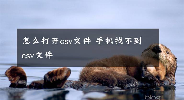怎么打开csv文件 手机找不到csv文件
