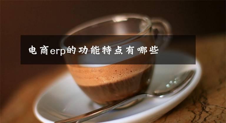 电商erp的功能特点有哪些
