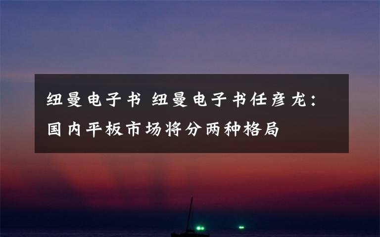 纽曼电子书 纽曼电子书任彦龙:国内平板市场将分两种格局