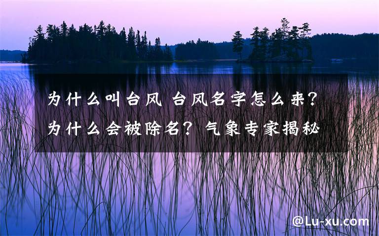 为什么叫台风 台风名字怎么来?为什么会被除名?气象专家揭秘