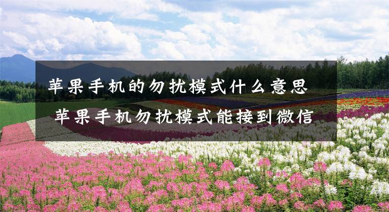苹果手机的勿扰模式什么意思 苹果手机勿扰模式能接到微信吗