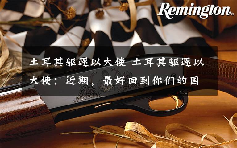 土耳其驱逐以大使 土耳其驱逐以大使:近期,最好回到你们的国家