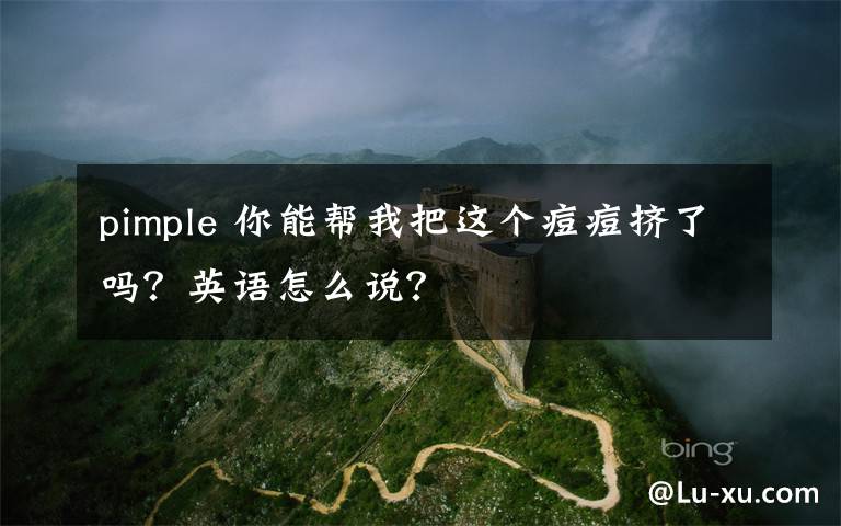 pimple 你能帮我把这个痘痘挤了吗?英语怎么说?