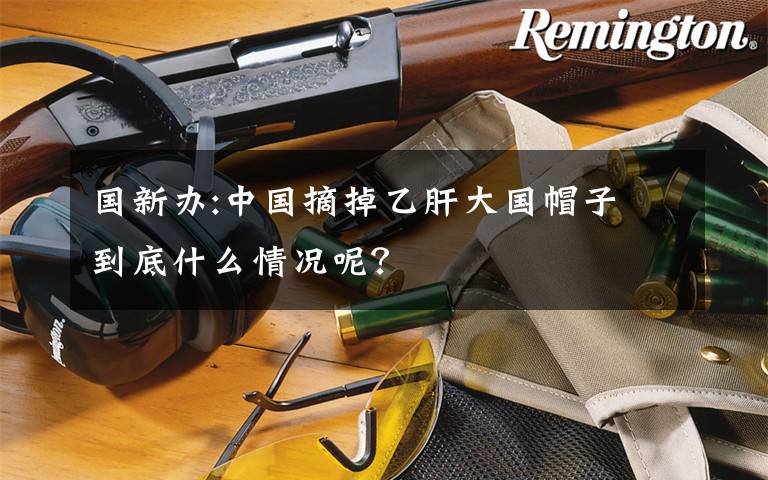 国新办:中国摘掉乙肝大国帽子 到底什么情况呢?