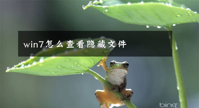 win7怎么查看隐藏文件