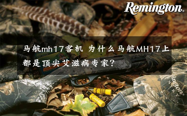 马航mh17客机 为什么马航MH17上都是顶尖艾滋病专家?