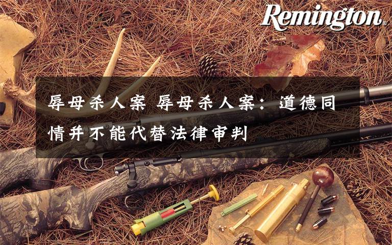 辱母杀人案 辱母杀人案:道德同情并不能代替法律审判