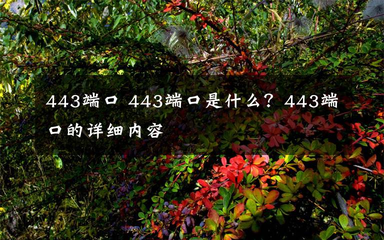 443端口 443端口是什么?443端口的详细内容