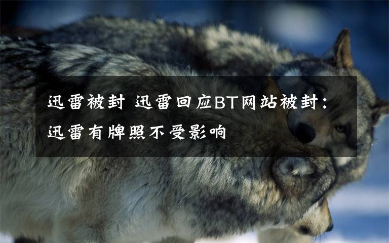 迅雷被封 迅雷回应BT网站被封:迅雷有牌照不受影响