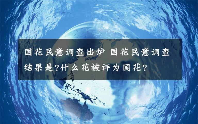 国花民意调查出炉 国花民意调查结果是?什么花被评为国花?