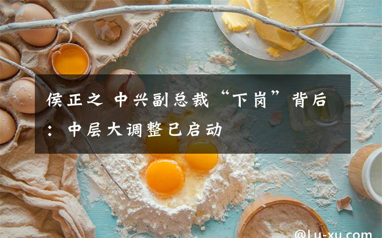 侯正之 中兴副总裁“下岗”背后:中层大调整已启动