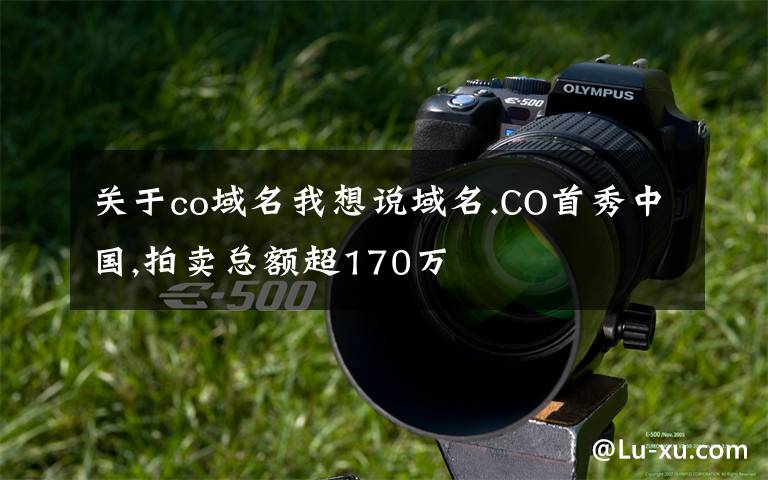 关于co域名我想说域名.CO首秀中国,拍卖总额超170万