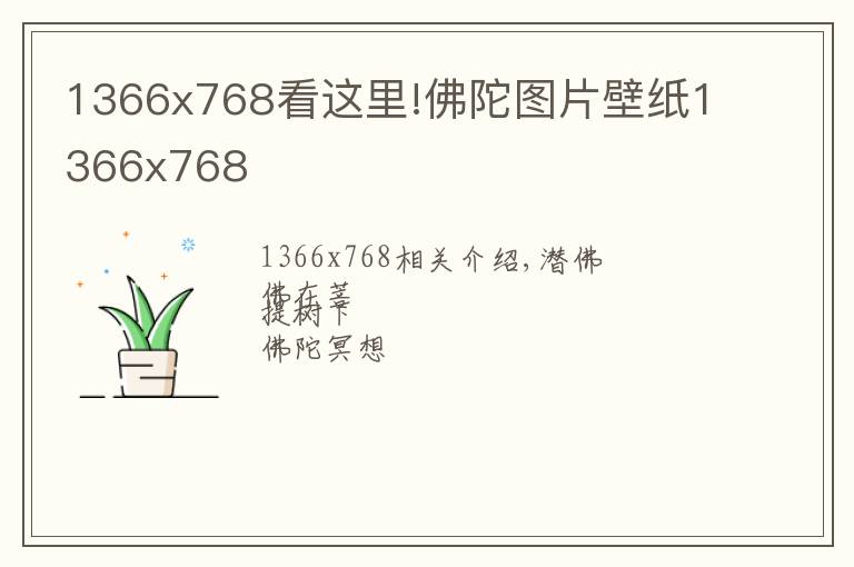 1366x768看这里!佛陀图片壁纸1366x768