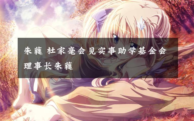 朱蕤 杜家毫会见实事助学基金会理事长朱蕤