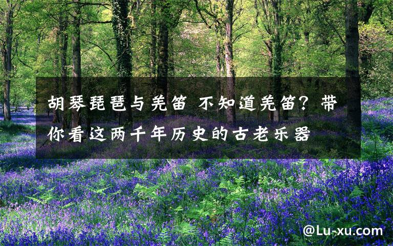 胡琴琵琶与羌笛 不知道羌笛?带你看这两千年历史的古老乐器