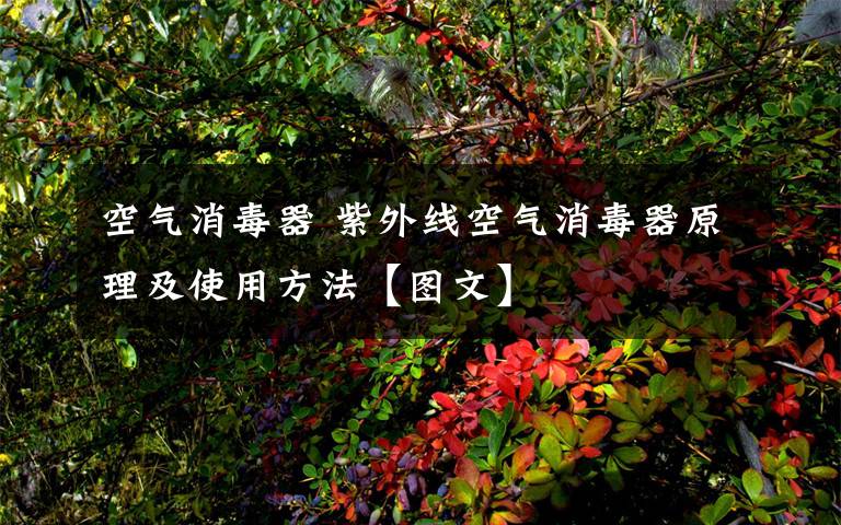 空气消毒器 紫外线空气消毒器原理及使用方法【图文】