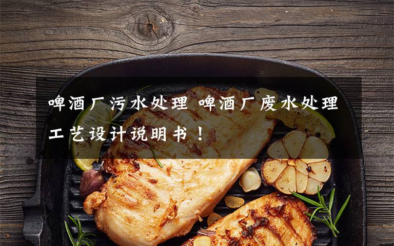 啤酒厂污水处理 啤酒厂废水处理工艺设计说明书!