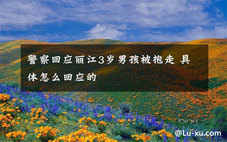 警察回应丽江3岁男孩被抱走 具体怎么回应的