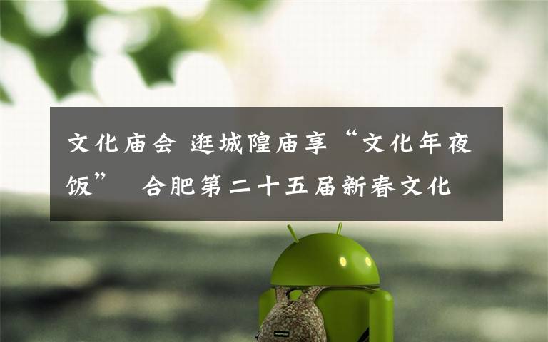 文化庙会 逛城隍庙享“文化年夜饭”  合肥第二十五届新春文化庙会昨日开幕