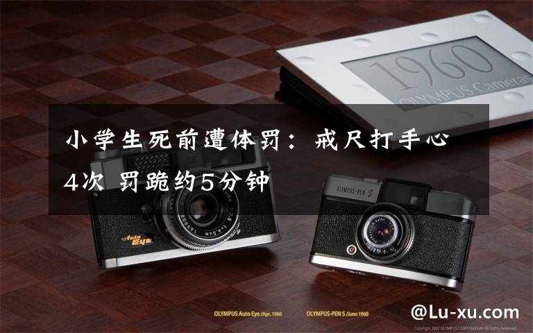 小学生死前遭体罚:戒尺打手心4次 罚跪约5分钟