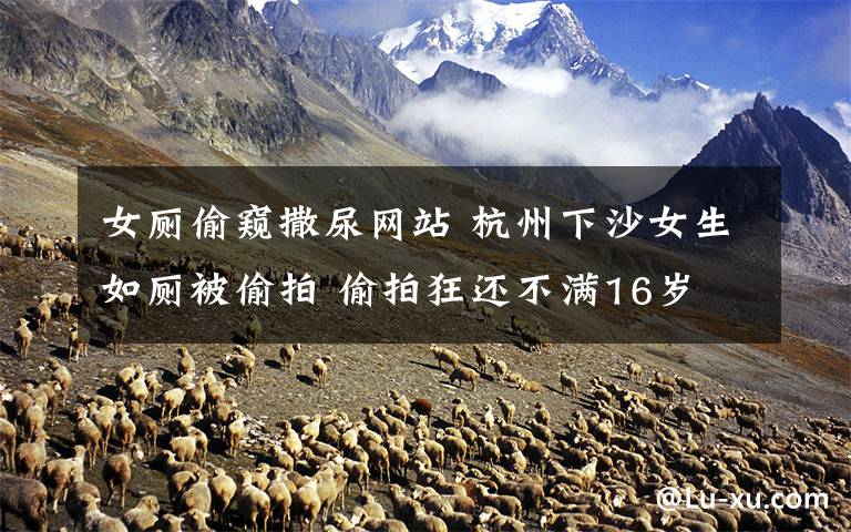 女厕偷窥撒尿网站 杭州下沙女生如厕被偷拍 偷拍狂还不满16岁