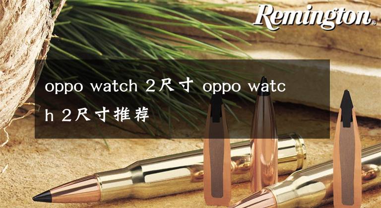 oppo watch 2尺寸 oppo watch 2尺寸推荐