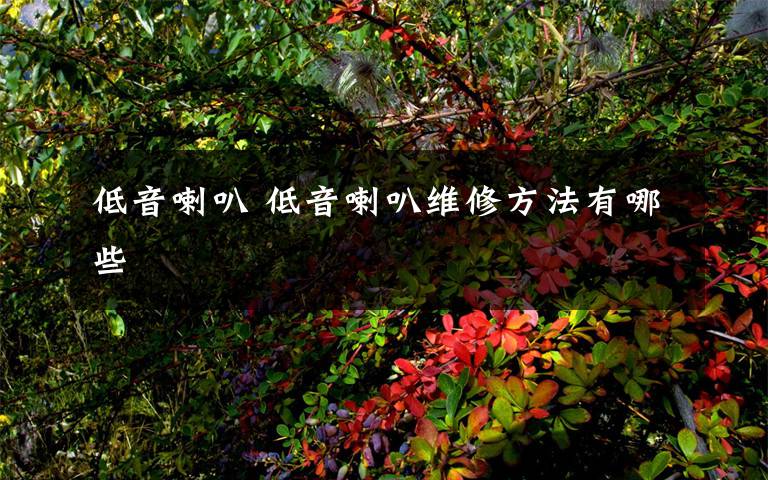 低音喇叭 低音喇叭维修方法有哪些